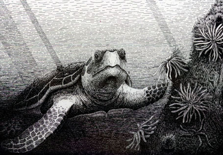 Wild Woman Carol Ruckdeschel, the “Jane Goodall of sea turtles” and more.