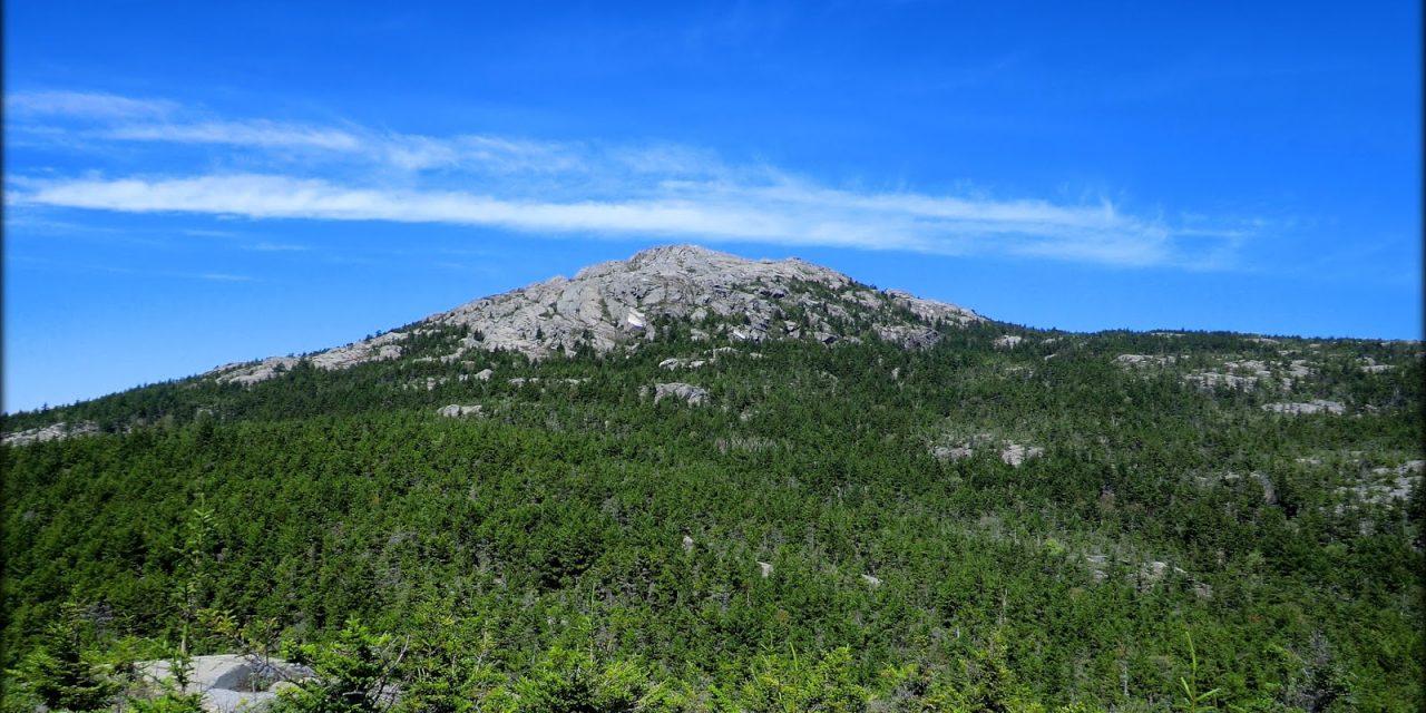 Woman Writer Willa Cather: A Forever View of the Mountain