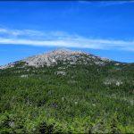 Woman Writer Willa Cather: A Forever View of the Mountain