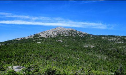 Woman Writer Willa Cather: A Forever View of the Mountain